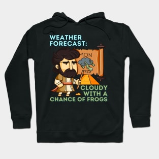 Moses Weather forecast Hoodie